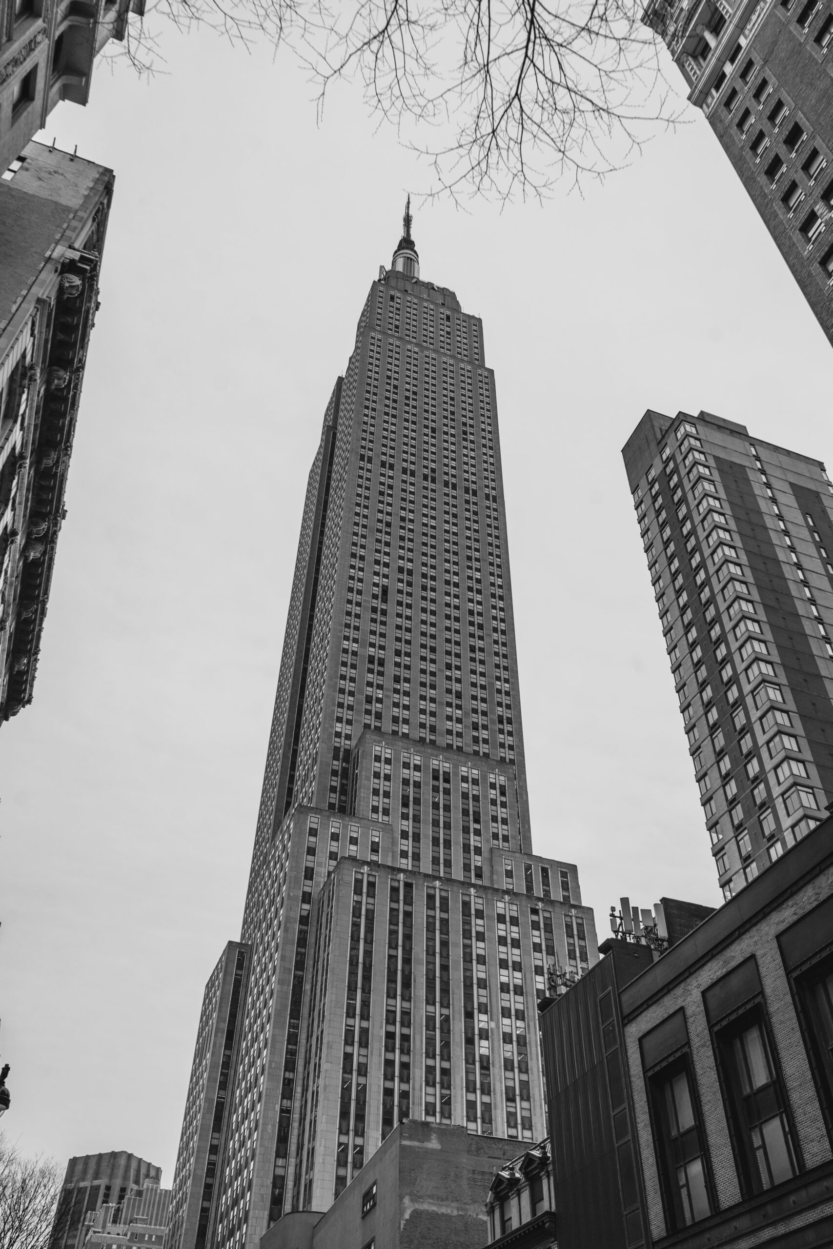 _DSC0343