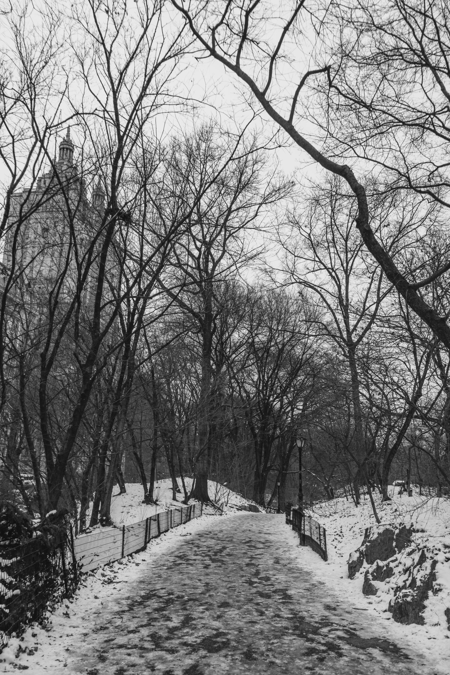 _DSC0369