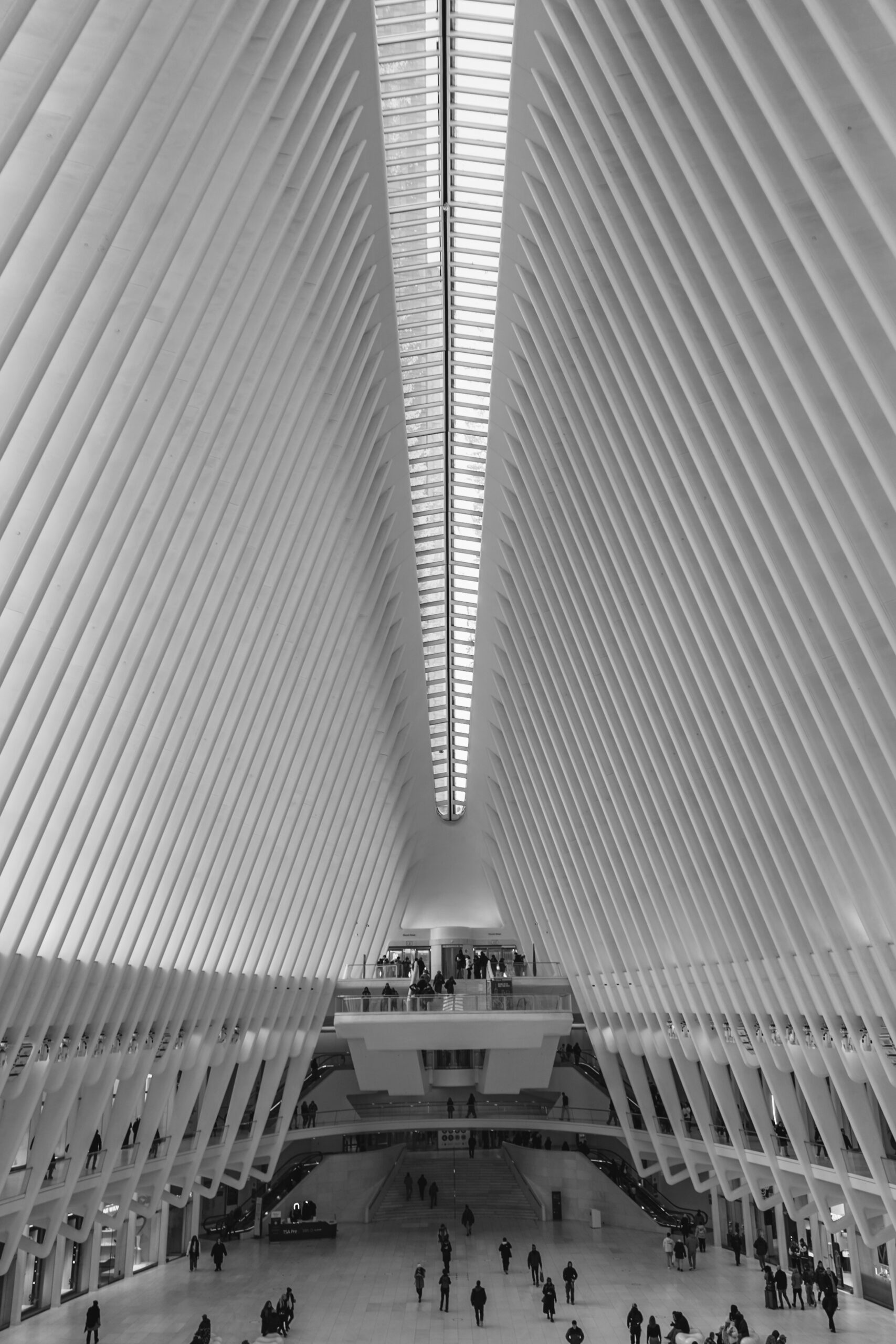 _DSC0415