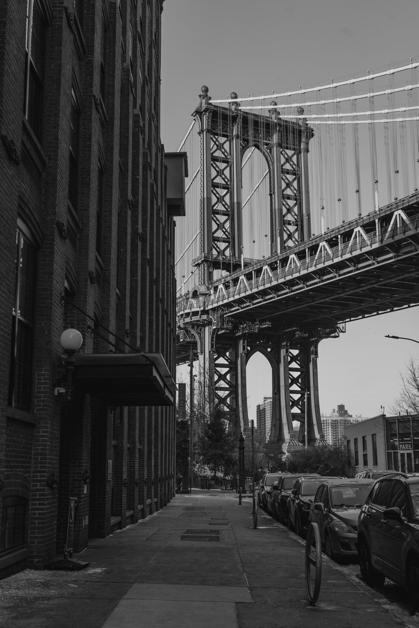_DSC0486